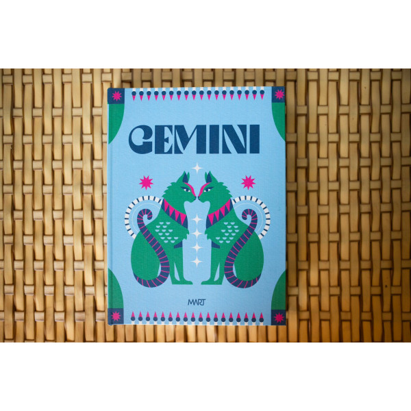 LIVRO CAIXA GÊMEOS
