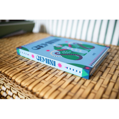LIVRO CAIXA GÊMEOS LIVRO CAIXA GÊMEOS