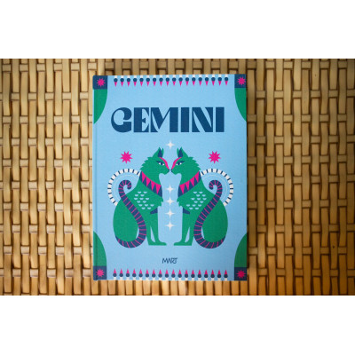 LIVRO CAIXA GÊMEOS LIVRO CAIXA GÊMEOS