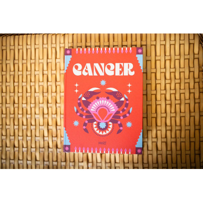 LIVRO CAIXA CANCER