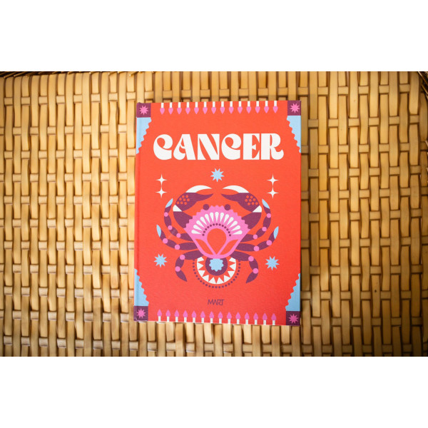 LIVRO CAIXA CANCER