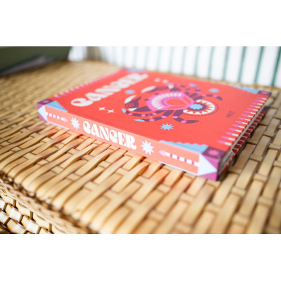 LIVRO CAIXA CANCER