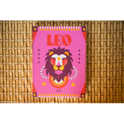LIVRO CAIXA LEÃO