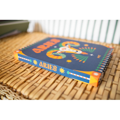 LIVRO CAIXA ÁRIES