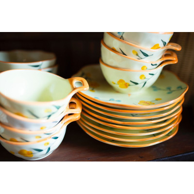 48/12 - BOWL ESTAMPADO
