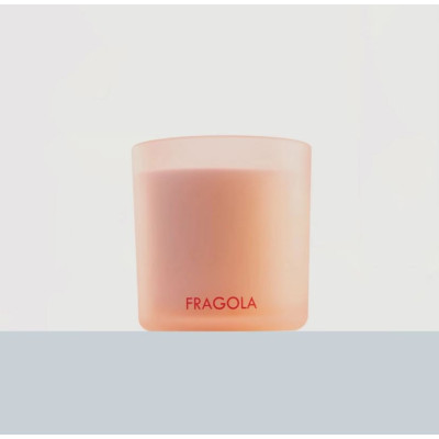 VELA PERFUMADA FRAGOLA - 170G VELA PERFUMADA FRAGOLA - 170G