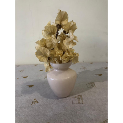 VASO DECOR VIDRO (BEGE) 9cm 7,5d (FLORARTE) Vol. 1