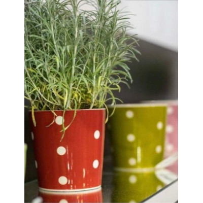48/12 - CACHEPOT COLOR SORTIDOS M