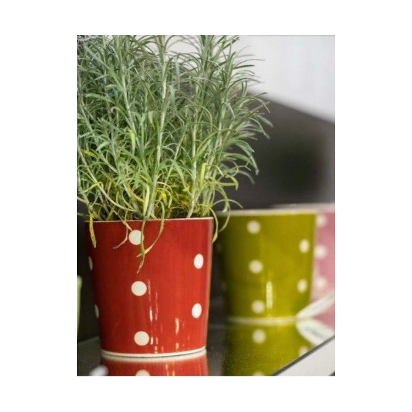 48/12 - CACHEPOT COLOR SORTIDOS M