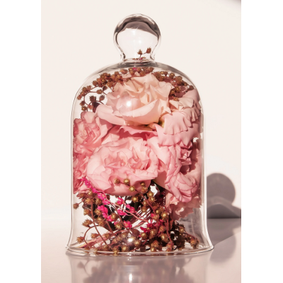 REDOMA TRANSPARENTE VIDRO 3810P TR