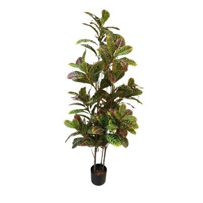 Croton Real Toque com pote X192 (verde) 1,6m