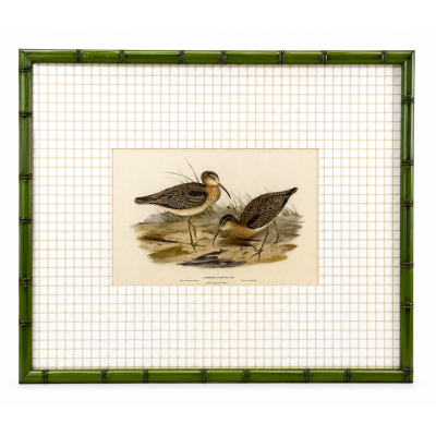 Quadro decorativo Jojo Birds New Xadrez 01