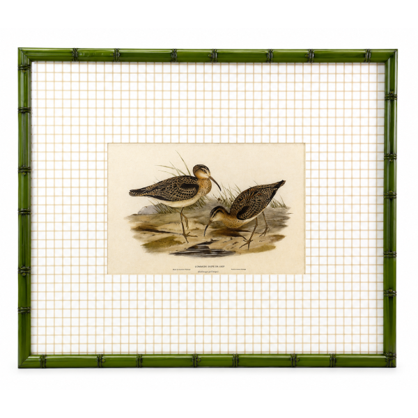 Quadro decorativo Jojo Birds New Xadrez 01