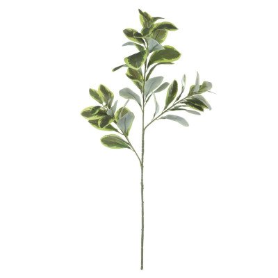 Galho de Clúsia Real Toque X47 Verde e Creme 75cm