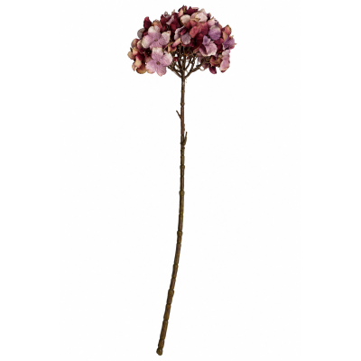 Hortênsia X77 Chá Outono 84cm